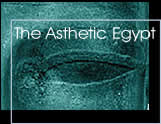 Graphic Design for Museum  Logo & Exhibition